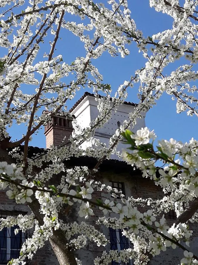 Piccola Corte Antica Bed and Breakfast Corticelle Pieve 0*,