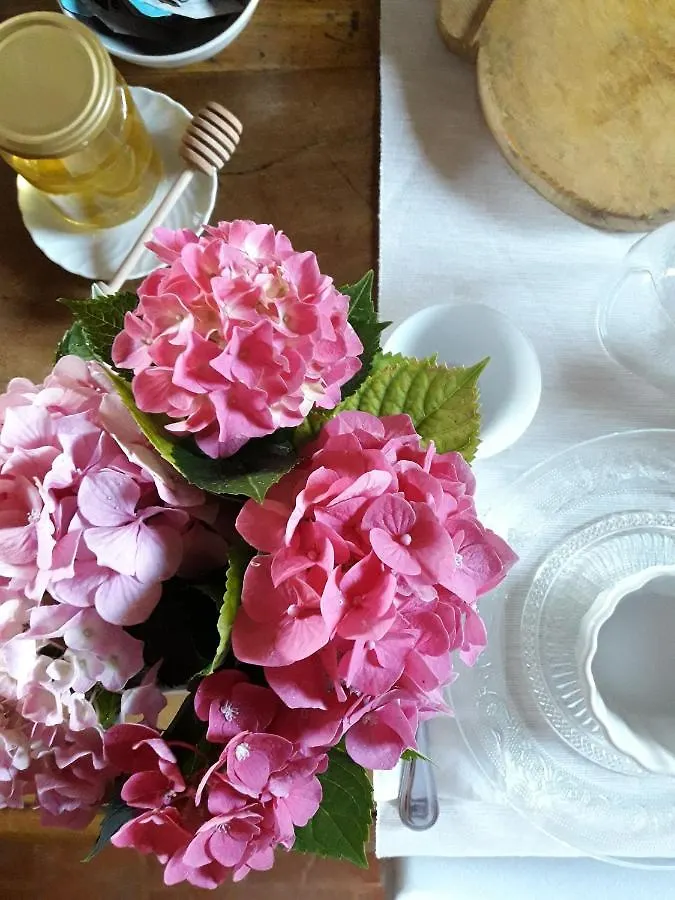Piccola Corte Antica Bed & Breakfast Corticelle Pieve